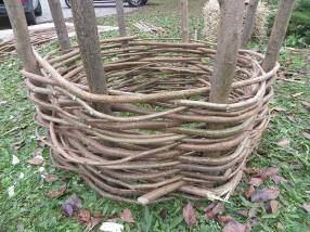 Start with one long willow twig that will be used as you weaver, it should thinner in diameter than your spokes.