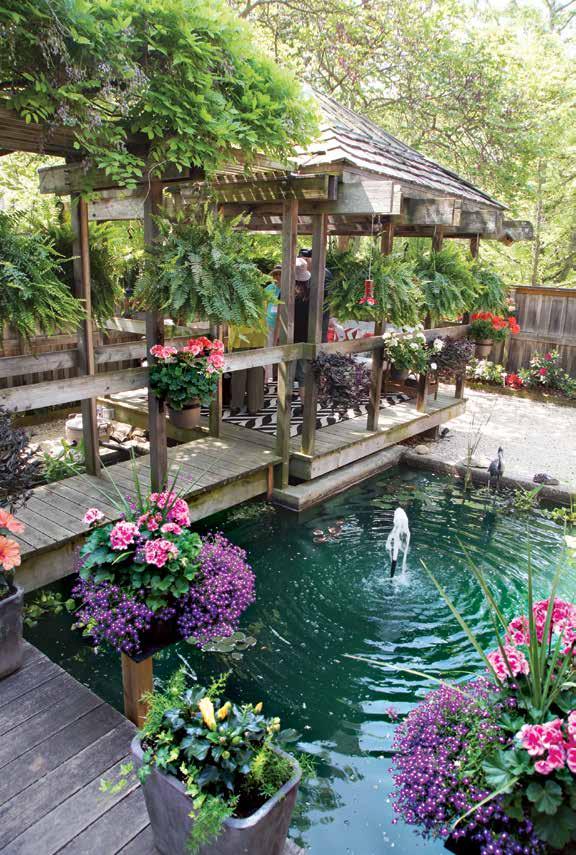 The Penner property in Niagaraon-the-Lake featured a pond with a pergola reached by a boardwalk.