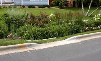 1 BIORETENTION SYSTEM: On this property bioretention systems or rain gardens