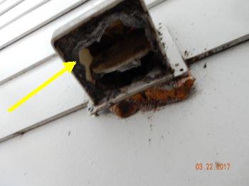 1. Dryer Vent Dryer vent is stuck open due to excess lint. Laundry 2. Electrical Dryer vent is stuck open. Due to items, some of the electrical services are not visible. 3.