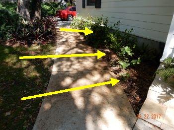 1. Driveway and Walkway Condition Materials: Shell driveway noted. The driveway is in serviceable condition.