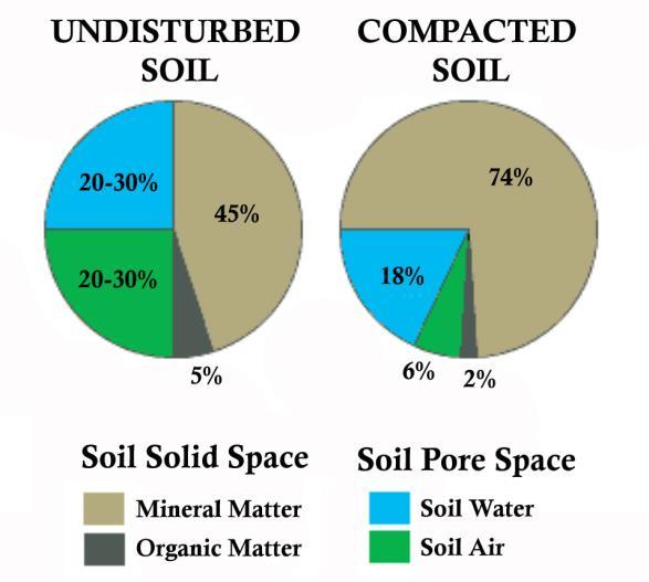 Main causes of compaction Working / Cultivating / Grazing in wet conditions