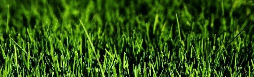 Type of Guide: Lawn maintenance Once you've created your ideal outdoor space and chosen the perfect soil and grass for the area, how are you to keep it looking its best?