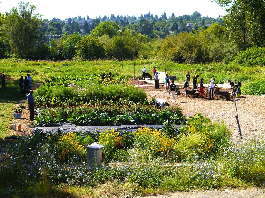 Urban Farms The UFS Program currently has domain over Rainier Beach Urban Farm and Wetlands and Marra Farm, both located on SPR property and make up 397,960 Square feet of