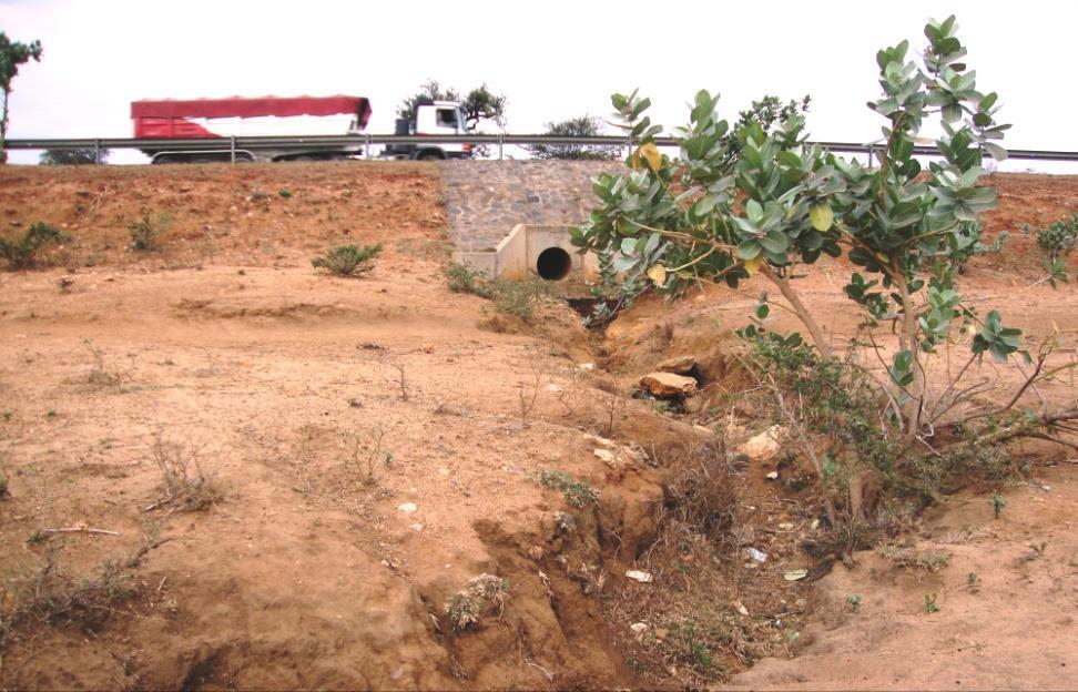 AN EXAMPLE OF RUNOFF FARMING Rainwater runoff from the NairobiMombasa