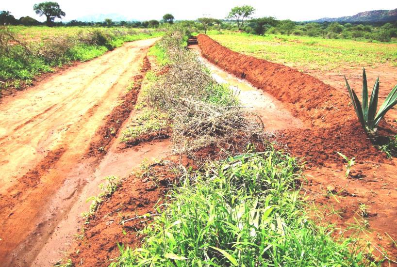 OTHER TYPES OF IN-SITU STORAGE Farmers in Somaliland divert runoff from roads