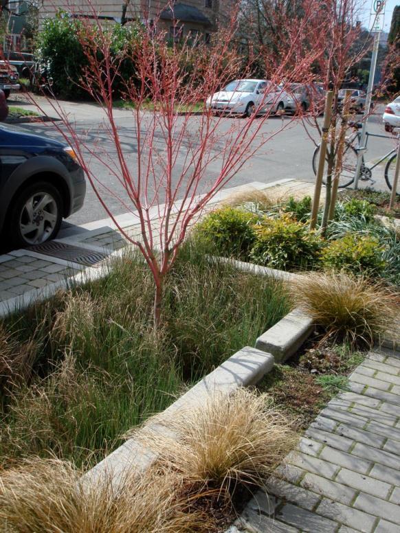 What is Green Infrastructure?