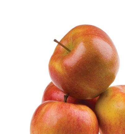 Some are chosen to be stored in carefully controlled conditions, which means English apples are now available until May.
