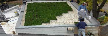 Extensive Green Roof Lighter <6 media depth Planted with sedums or native plant species Saturated weights from 12-50lbs/sq.ft.