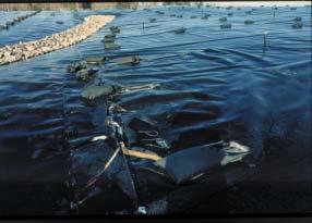 Exposed geomembrane covers: Part 1 - geomembrane stresses By Gregory N. Richardson, Ph.D. P.E., principal of GN Richardson and Assoc.