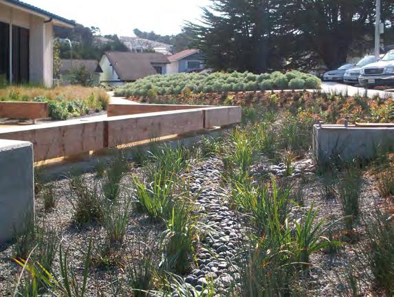 C.3 STORMWATER TECHNICAL GUIDANCE BIORETENTION AREAS COMMON MAINTENANCE CONCERNS: The primary maintenance requirement for bioretention areas is the regular inspection and repair or replacement of the