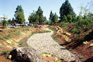 SAN MATEO COUNTYWIDE WATER POLLUTION PREVENTION PROGRAM EXTENDED DETENTION BASINS COMMON MAINTENANCE CONCERNS: Primary maintenance activities include vegetation management and sediment removal,