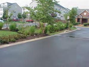 Manage Runoff from Driveways/Small Paved Areas