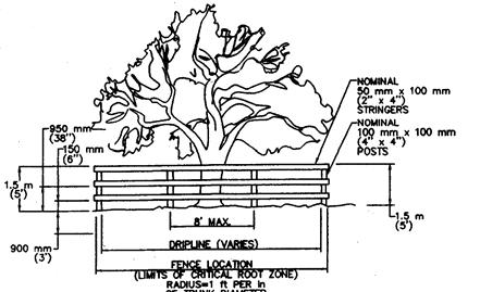 Austin Illustration 2-5: Examples of tree protection fencing surrounding the