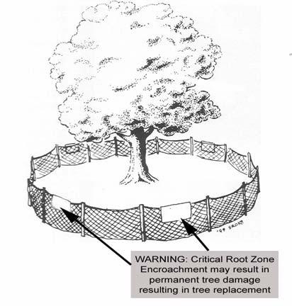 Illustration 2-6: Example of bark protection do