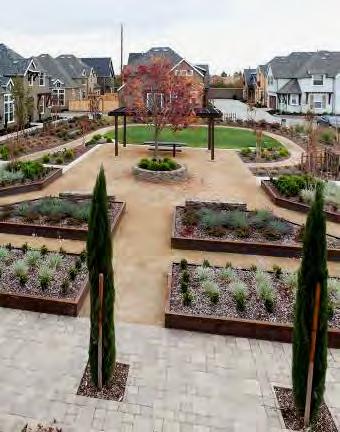 PROVIDE DIVERSE HOUSING CHOICES Create distinct neighborhoods within Campus Oaks that offer socio-economic vitality and support the workforce: Include a wide range of housing densities, lot sizes and