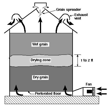 Figure 1. Natural-air drying bin equipped with grain spreader, exhaust vents, fan, and fullperforated floor. Table 1.