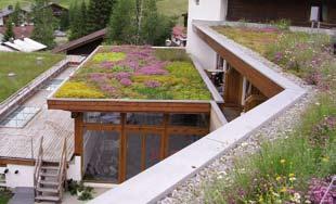 What are the benefits of a green roof?
