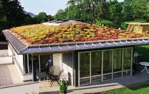 Many solutions for small and large roof areas Optigreen has decades of