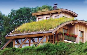 Planning Documentation for Green Roofs) from us under www.