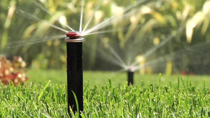 River Friendly Landscaping - Turf Buy-Back Program Efficient Irrigation: What time of the day should I water? - Evening & early morning How often do I need to water?