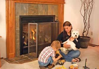 fireplace. If you have an infant or toddler or even a pet consider installing a fire screen.