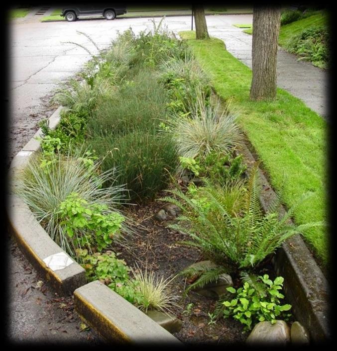 Green Streets: Swales 23 rd Street: Swales are planted channels