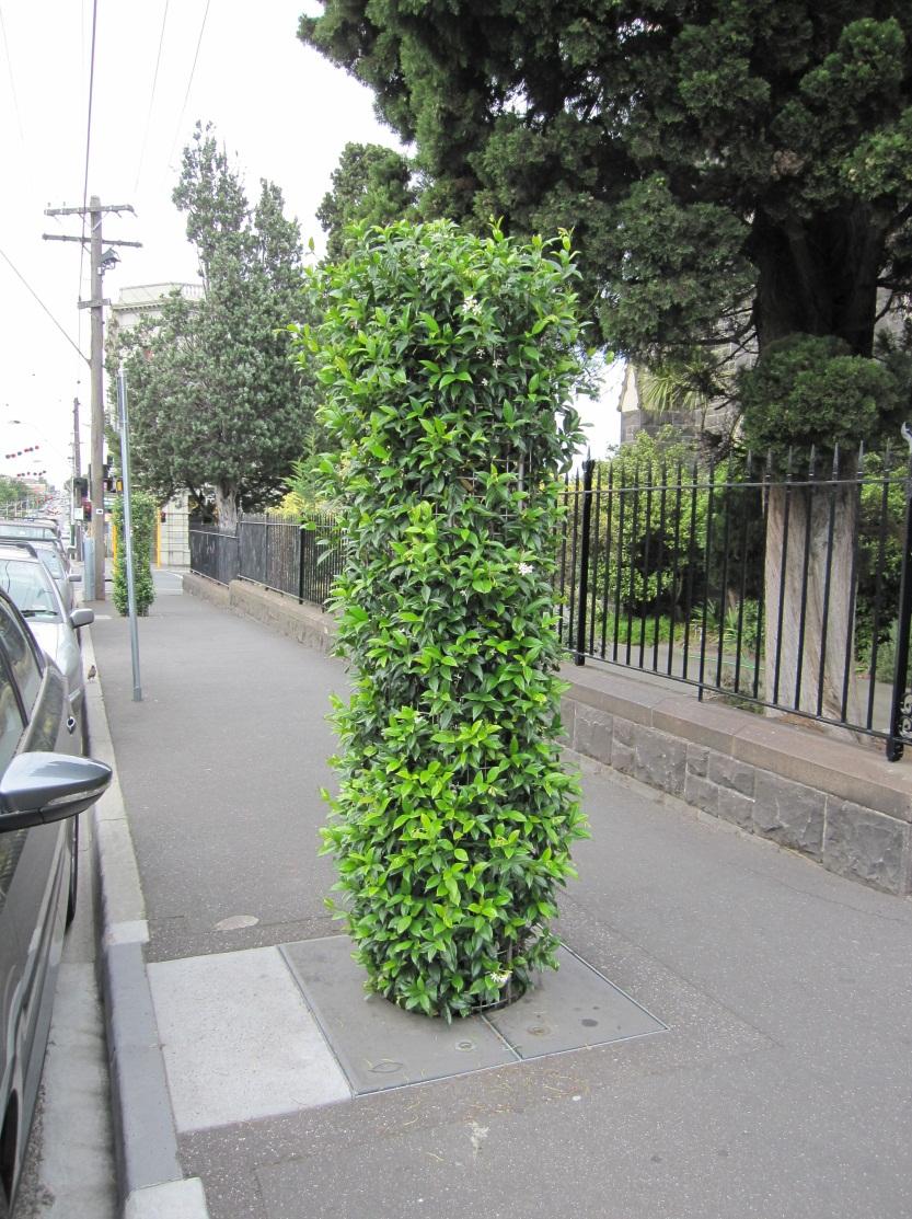 Multiple benefit outcomes A green solution Created an innovative and custom design that can be replicated elsewhere Brought a green element into the streetscape