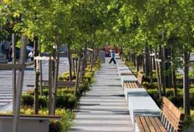 New routes and public realm new landscaped public route tree lined footpaths public square and