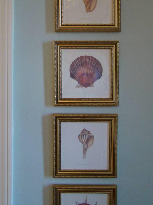 A set of six shell prints are hanging in a narrow wall space between two doorways as you enter.