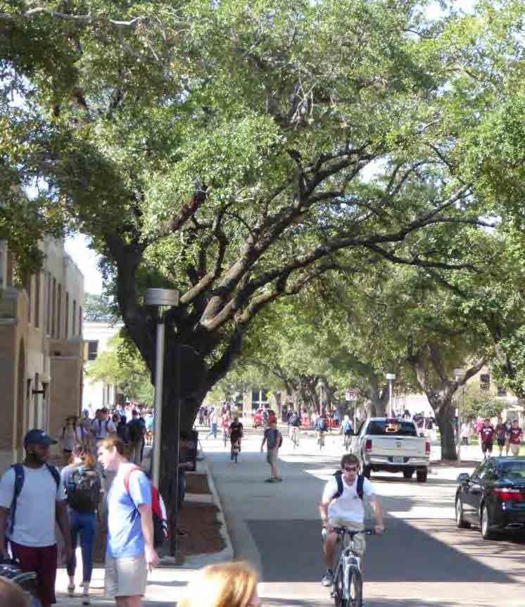 mobility: Planning Objectives 1. Create a pedestrian-focused campus environment. 2.