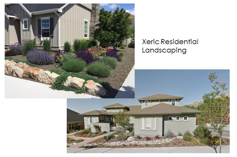 c. Water Conservation Strategy Landscape Vision The landscape vision for Syringa Valley will embrace and enhance the natural surrounding South Boise environment.