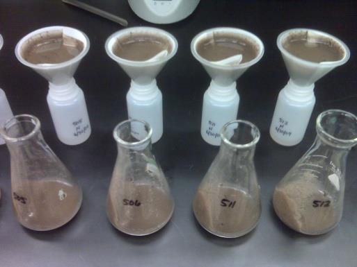 Laboratory Analyses Soil