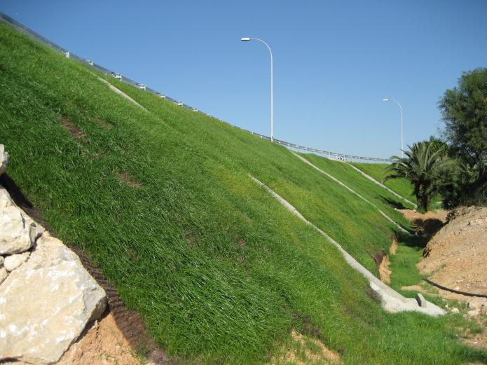 achieve the expected results with special regards to hydroseeding (Figure 16).