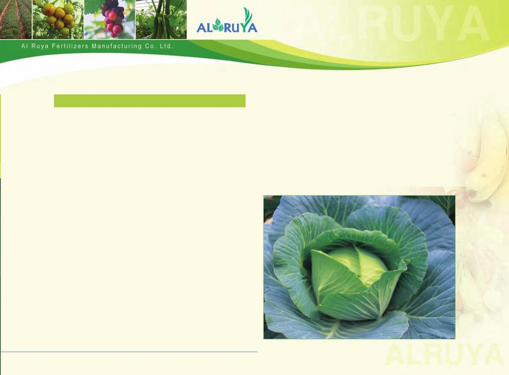 Usage ratio: Advantages of using Alruya Soluble Foliar Spray Fertilizers: Al Ruya Foliar fertilizers are high in quality with rapid and 100% solubility in water; containing the purest of macro