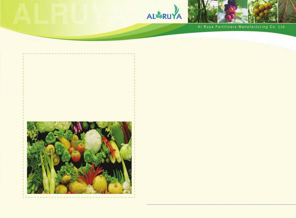 Some applications using Special Compounds on vegetables: In case of using Al Ruya Special Compounds at the beginning stages of plant growth, after seedling and after the plant becomes stable in the