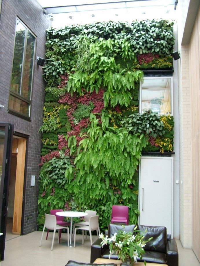 LIVING WALLS Indoor Plant List List of recommended plants for use on