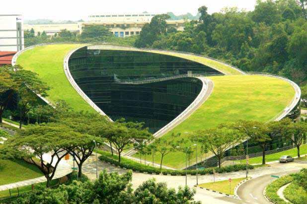 Green roof: University building Nanyang