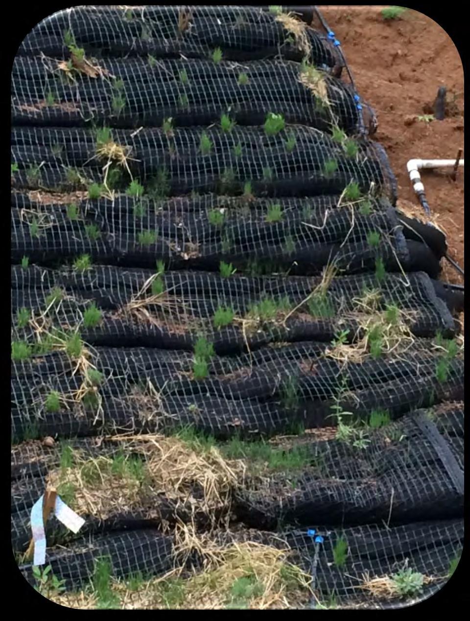 Irrigation for All of Our Systems Flat drip tape or round emitter tubing is run under the mesh from one end of our wall systems to the other.