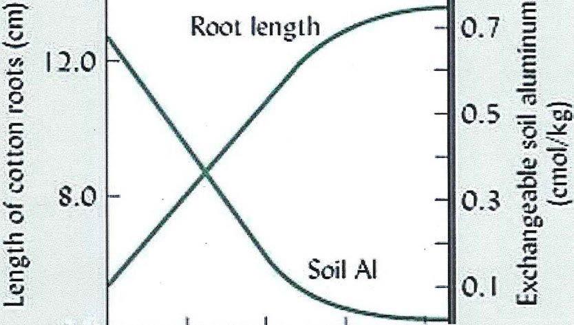 _increases and - root length is severely -