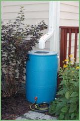Save the Rain for a Sunny Day A rain barrel connected to your downspout also known as a rain bank is a great way to keep stormwater out of the system and to cut down your water bill!