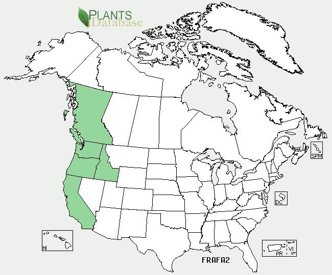 Geographical range (distribution maps for North America and Washington state) Ecological distribution (ecosystems it occurs in, etc): Climate and elevation range (2) Scattered in grasslands, meadows,