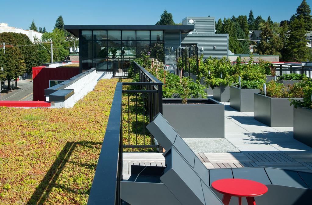 Outside the orangery, the roof top BBQ areas are connected by gardens featuring you pick eating with strawberries, blueberries, and raspberries, all surrounded