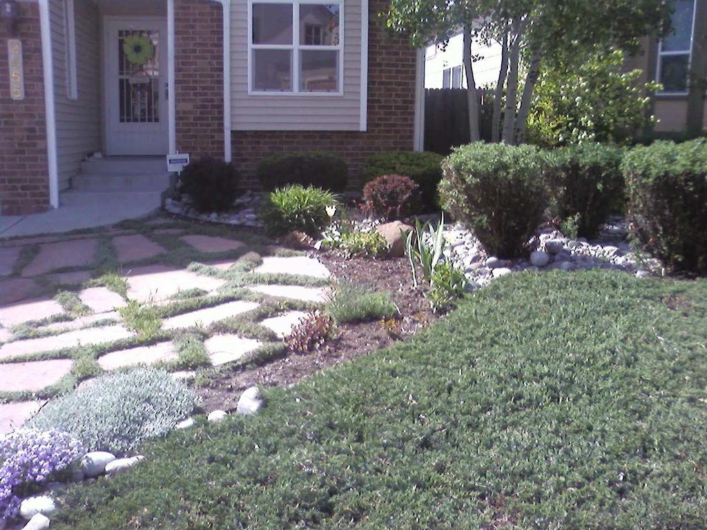 Xeriscape-the smart way to landscape Xeriscape promotes creative approaches to water conserving landscapes by helping people improve their landscapes and to reduce the need for water, maintenance and