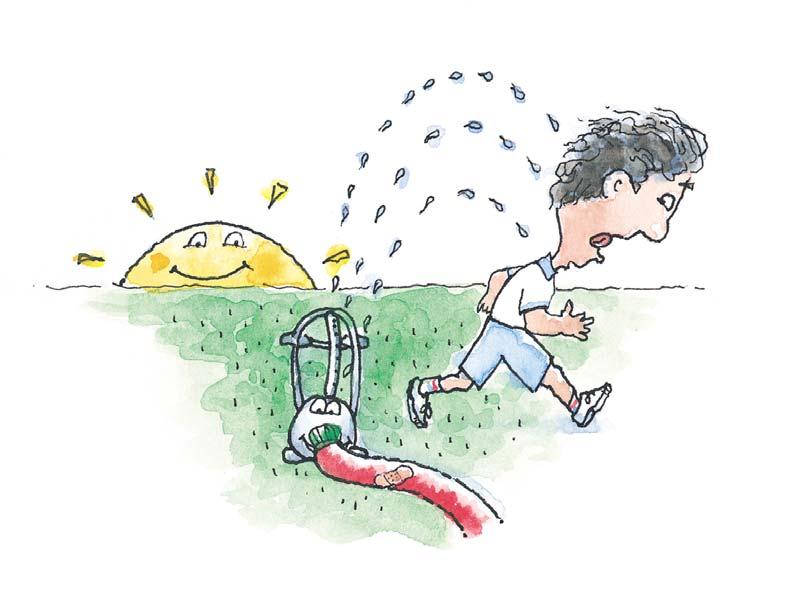 Efficient Irrigation Check soil moisture before watering Use efficient hose-end sprinklers that