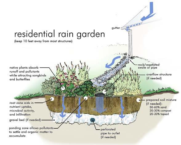 4 Role of Green Infrastructure Rain Garden Analysis (CBBEL, 2015) 10 x 20 rain gardens Every residential property in