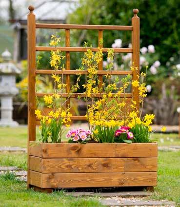 trellis Deep basket holds more compost to aid healthy