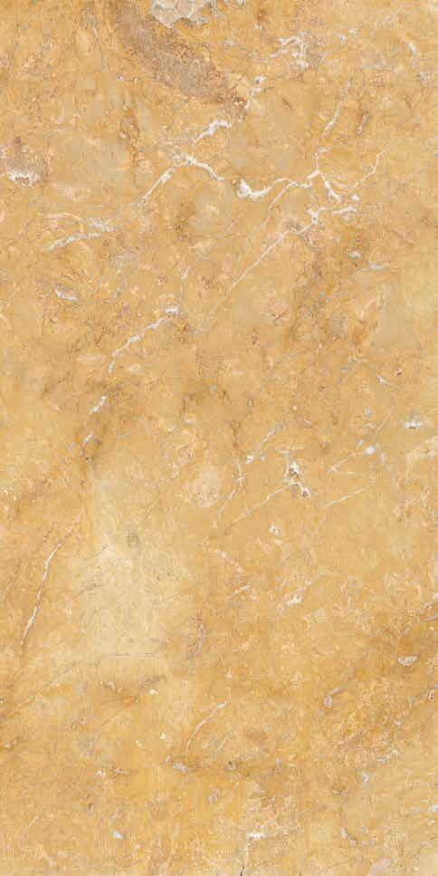 Inspired by the popular and elegant marbles, these anti-microbial ROYAL CARE SLABS bring the