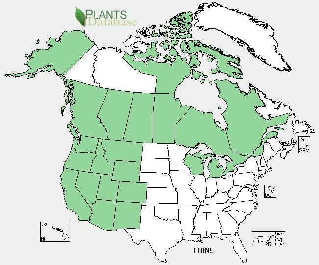 information) Common Name(s): Species Code (as per USDA Plants database): Geographical range (distribution maps for North America and Washington state) Twinberry honeysuckle (Lonicera involucrata