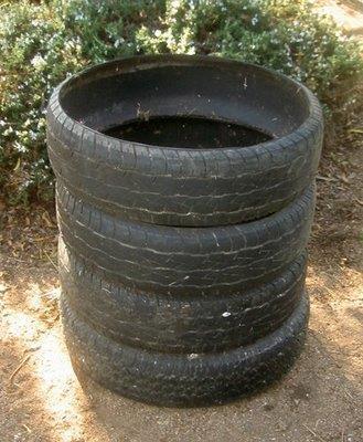 Step 2 Wall of tyre could be lined with a polythene sheet.
